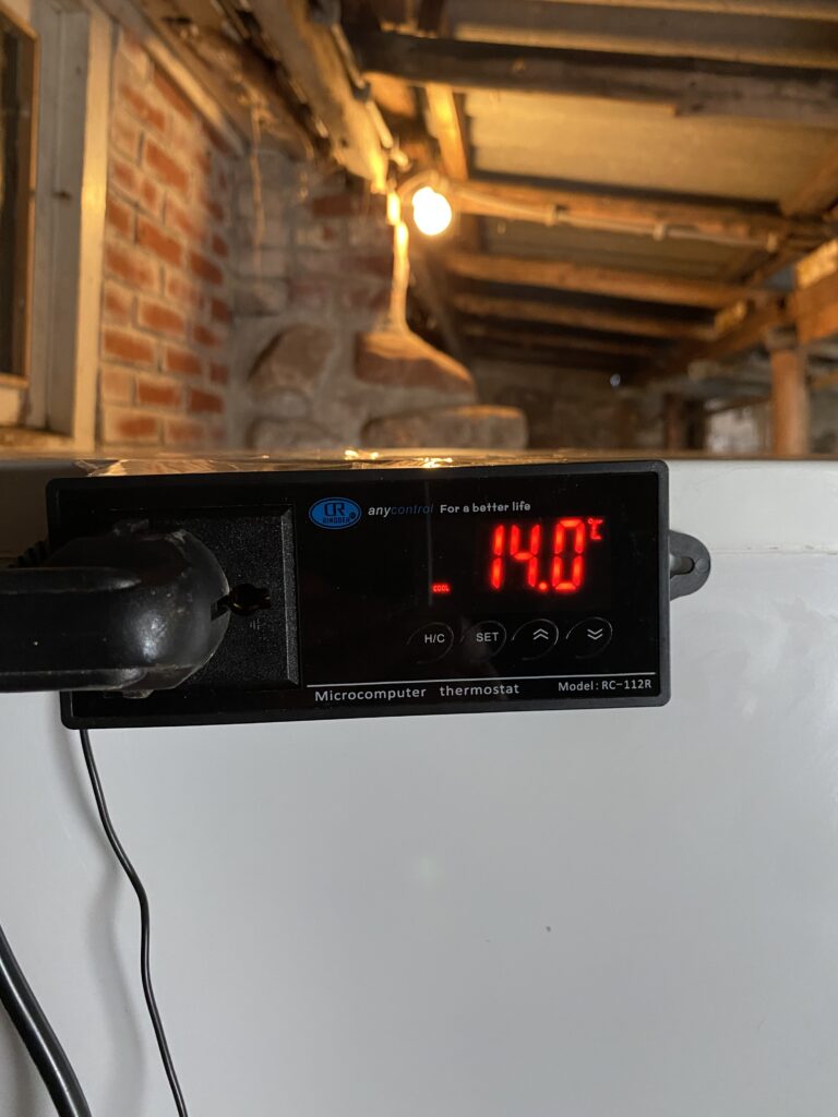 Kaas rijpen in een kaasgrot